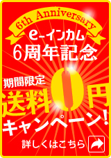 e-インカム６周年記念・送料無料キャンペーン！