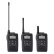 画像1: アルインコ 特定小電力トランシーバー DJ-CH202 (1)